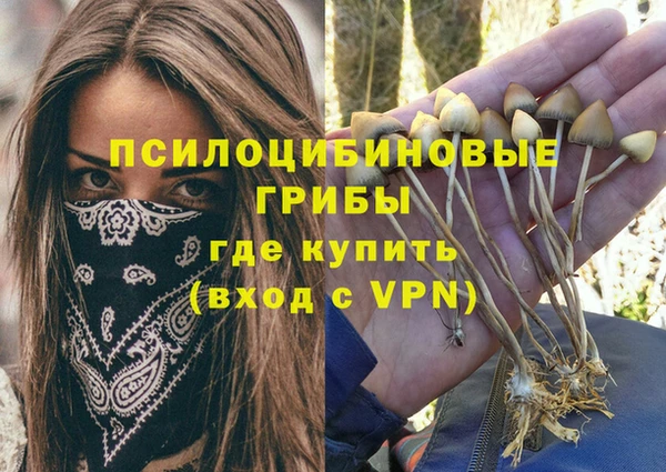 молекула духа Краснотурьинск