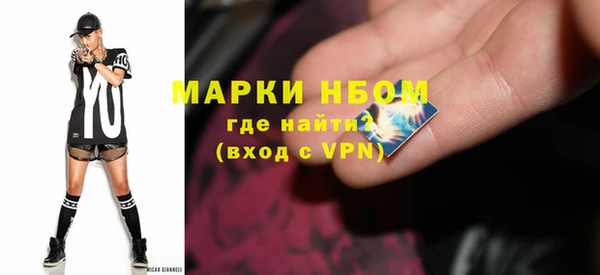 гашик Костерёво