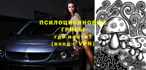 крисы Куйбышев